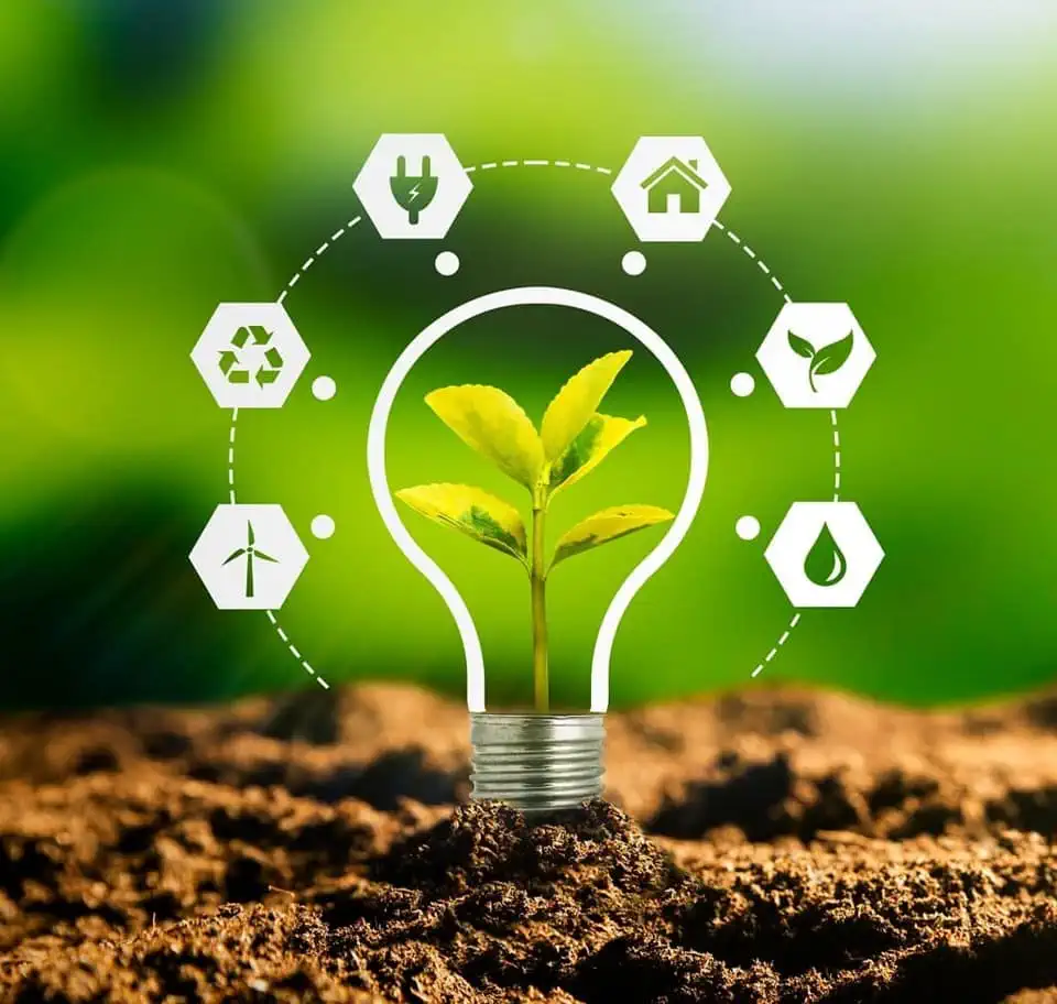 Lightbulb in soil with energy source icons
