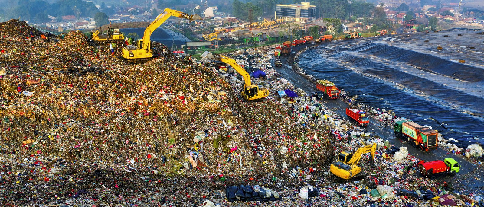 Thueia aggregates soil treatment