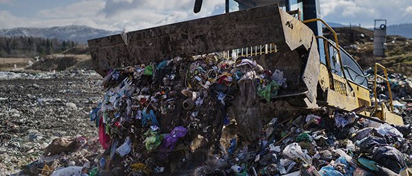 Thueia Specialist sustainable solutions