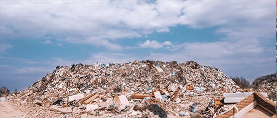 Thueia waste compliance services