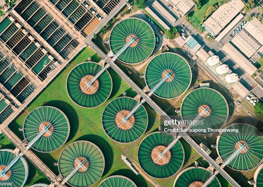 Thueia Sustainability Journey