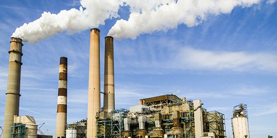 Thueia secure product destruction