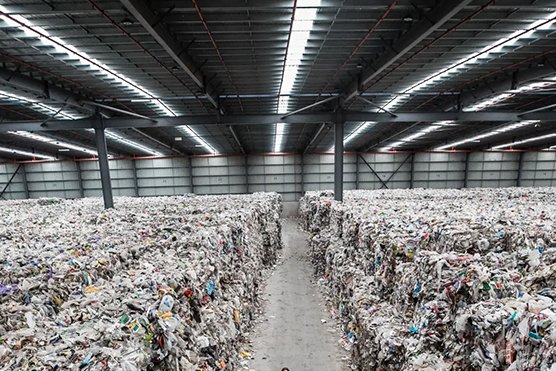 Thueia employee in facility