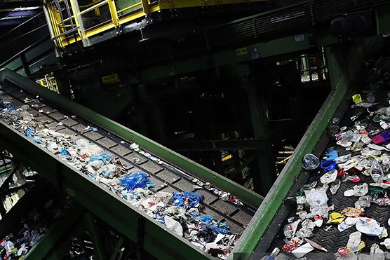 Thueia employee in facility