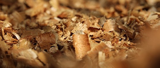 Thueia Reduce waste intensity