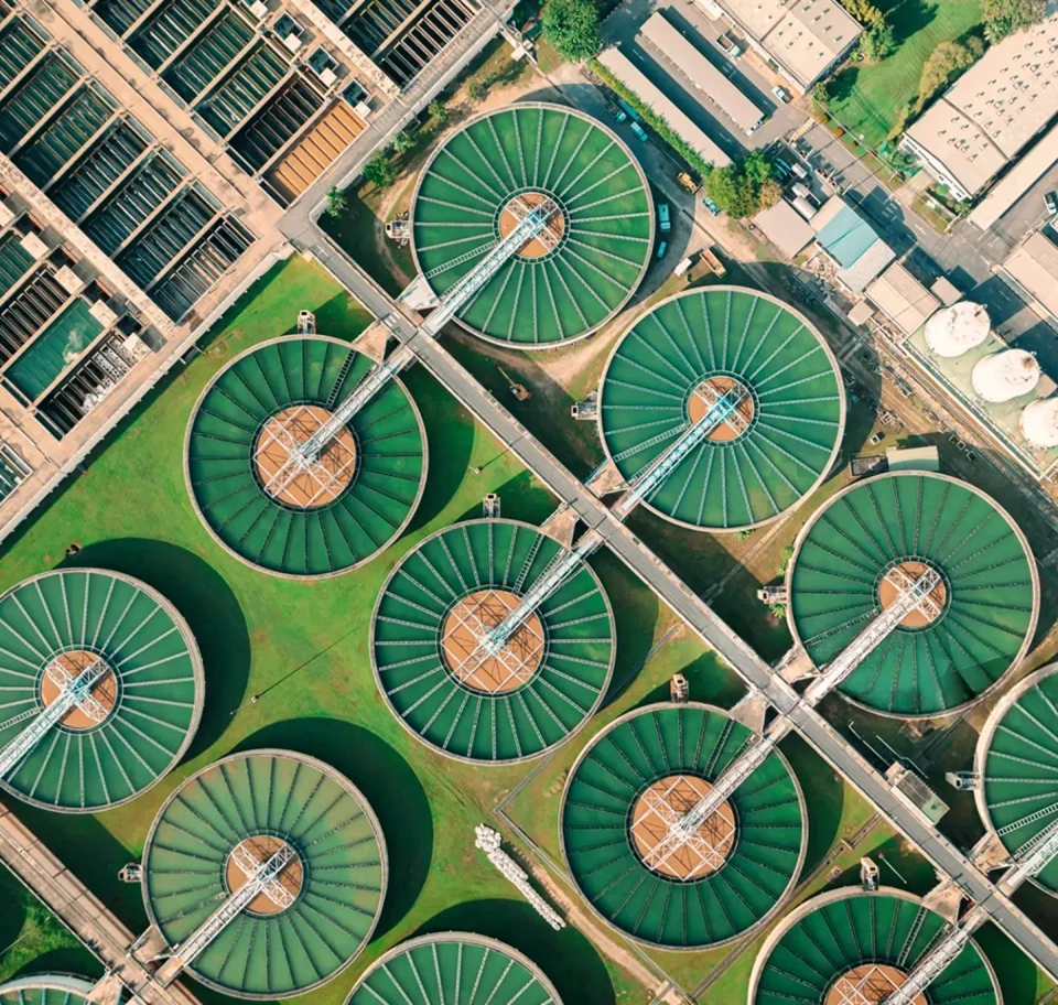 Thueia employee in facility