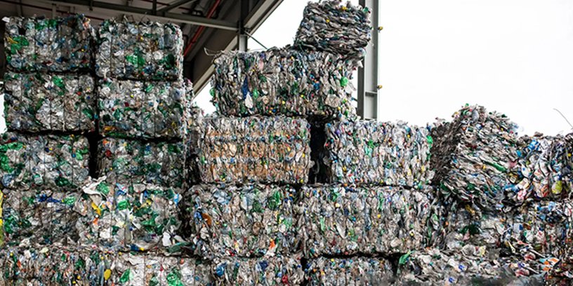 Thueia employee in facility