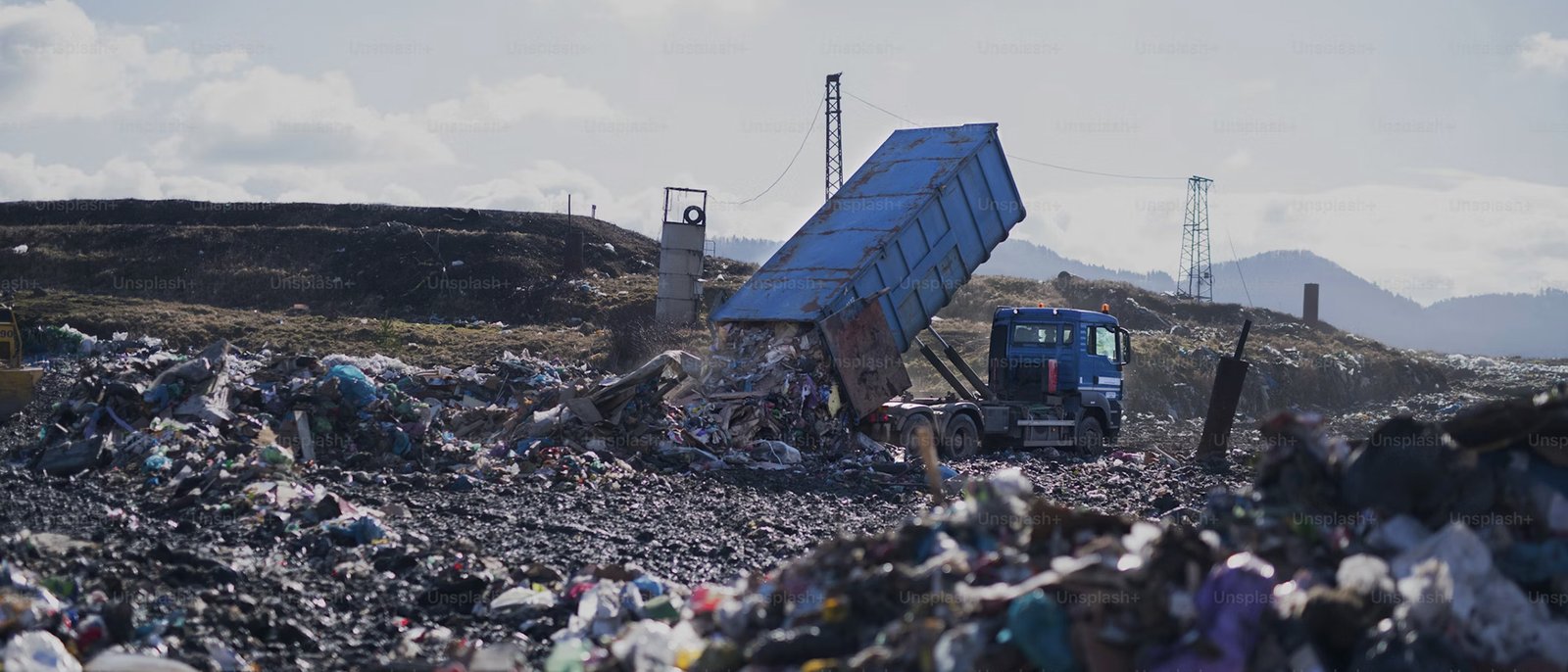 Thueia Large Businesses