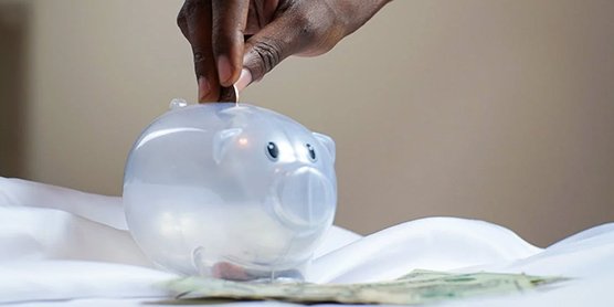 Thueia secure product destruction