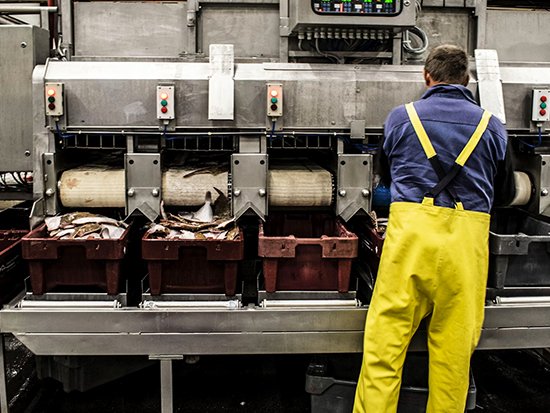 Thueia Waste Management Solutions